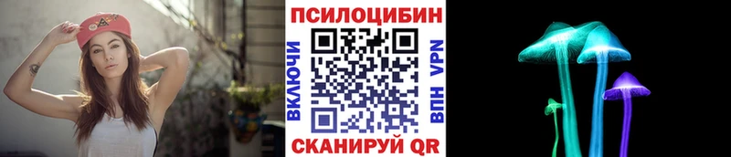 Псилоцибиновые грибы Cubensis  Шарья 