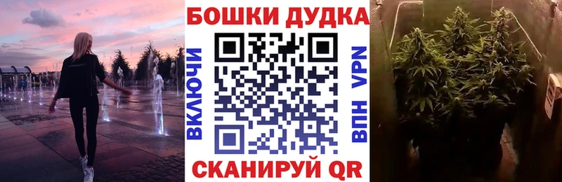хочу наркоту  Шарья  гидра зеркало  Каннабис OG Kush 
